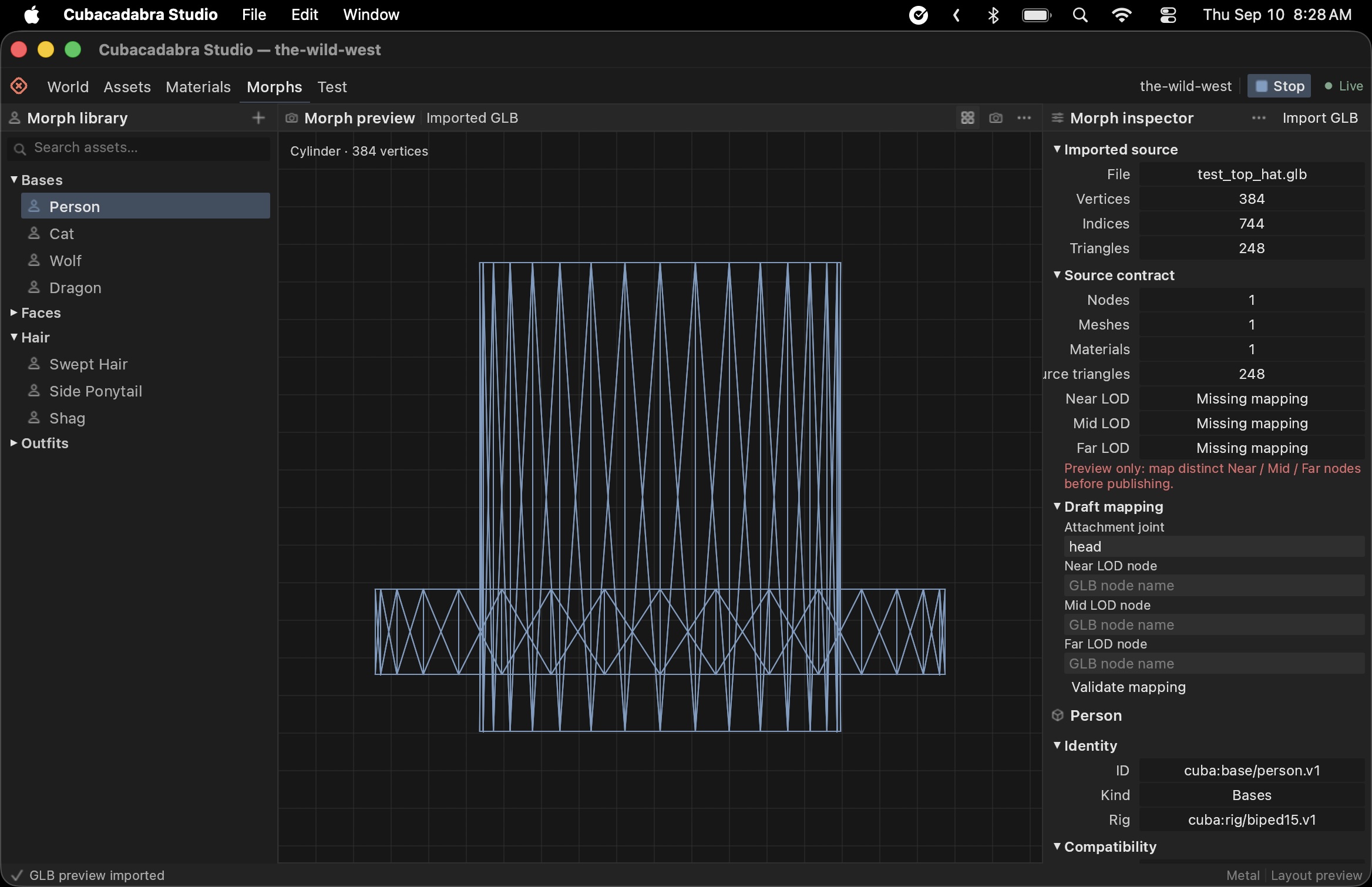 Cubacadabra Studio morph inspector showing a top hat GLB with 248 triangles and missing LOD mappings